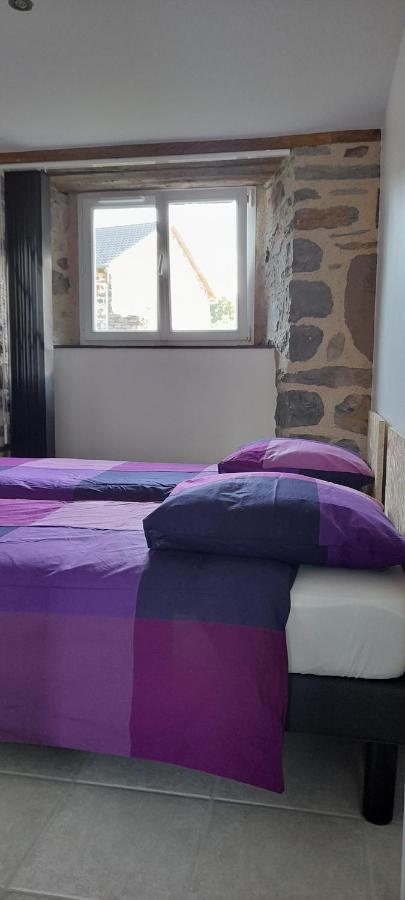 Boussoulet Chez Nave Au Pied Du Meygal 아파트 외부 사진
