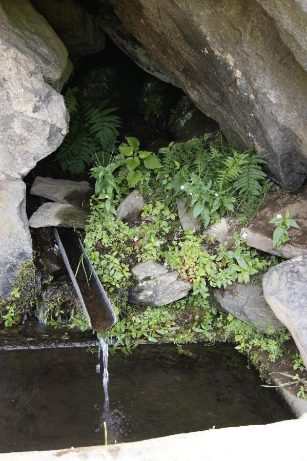 Boussoulet Chez Nave Au Pied Du Meygal 아파트 외부 사진